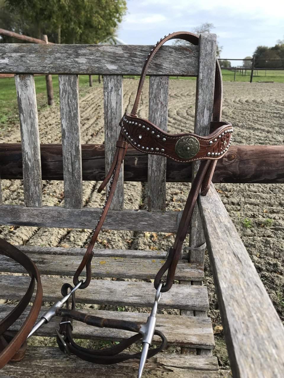 Westernzadel