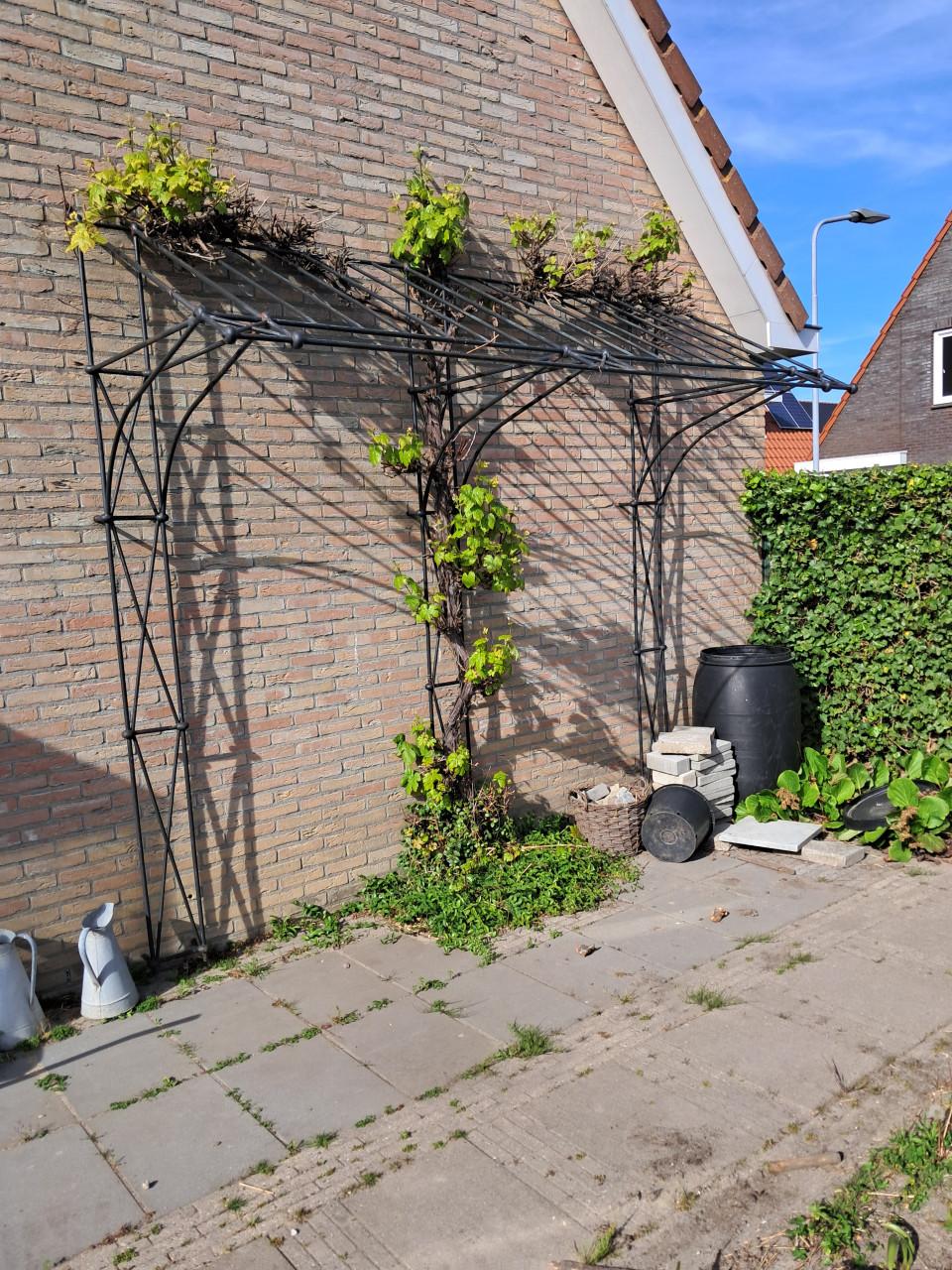 Stalenbuis pergola