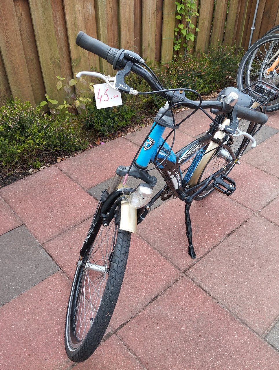 ALPINA YABBER 24 inch