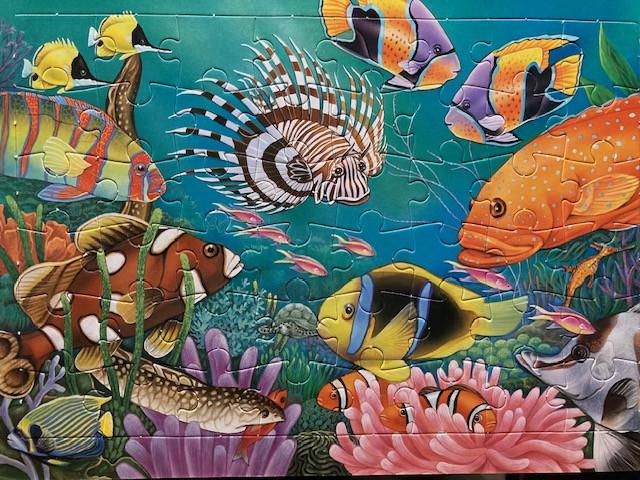 Legpuzzels met 48/96/112/500 en 1000 stukjes.