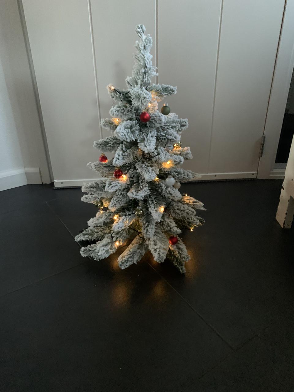 Kerstboompje lux met sneeuw 60 cm en timer