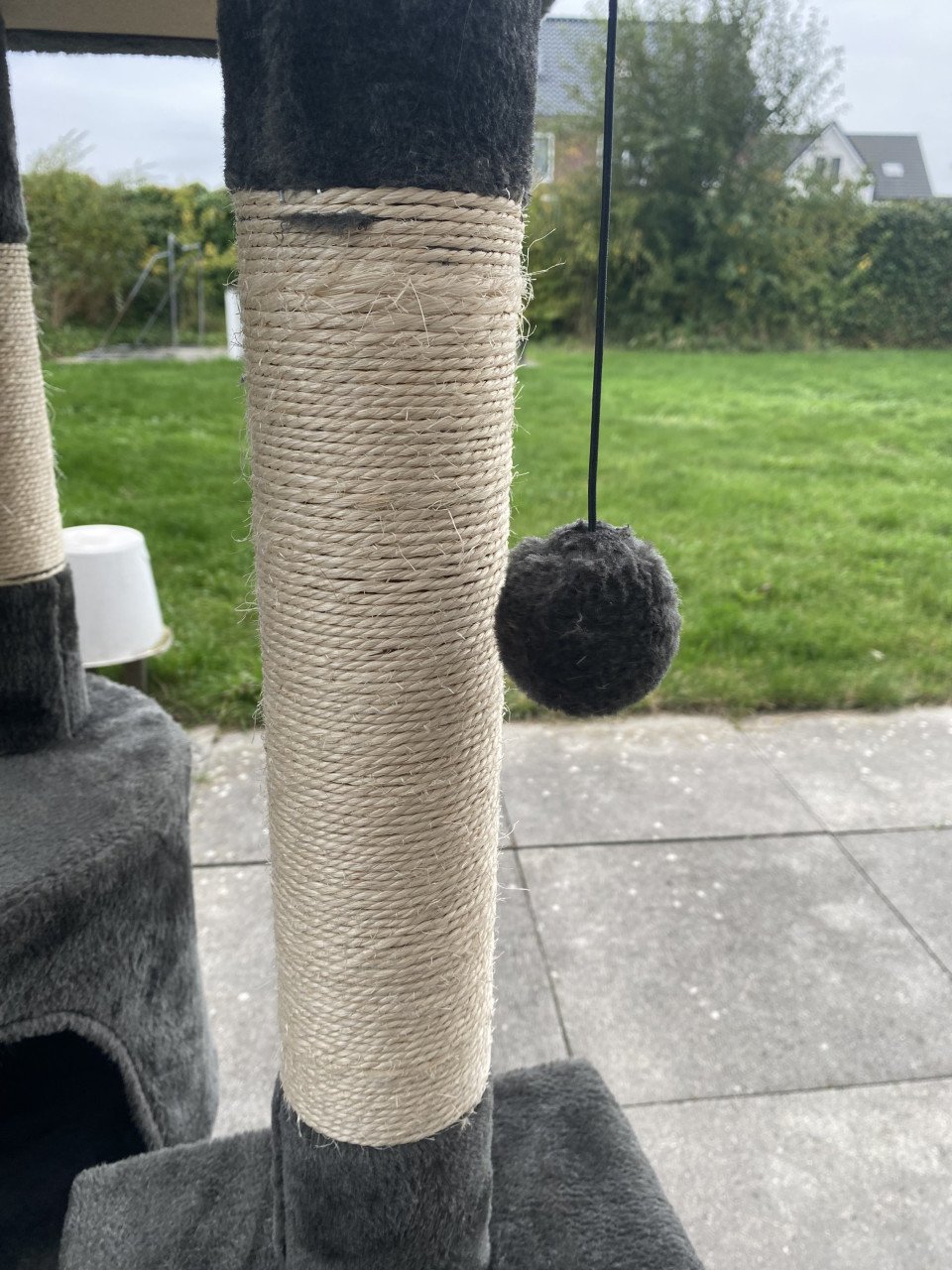 Katten krab paal