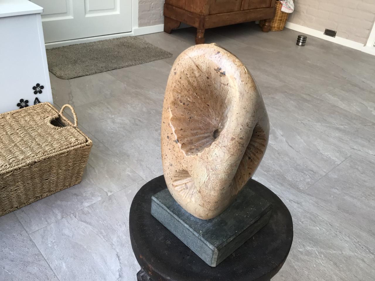 Afrikaanse Sculptuur van speksteen