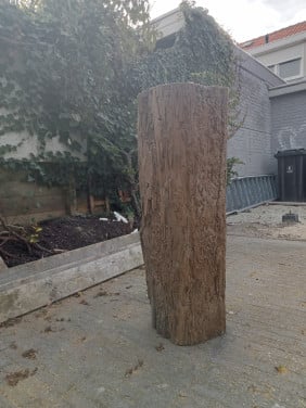 Meerpaal