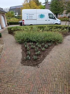 Zoekt u een goede Hovenier ?