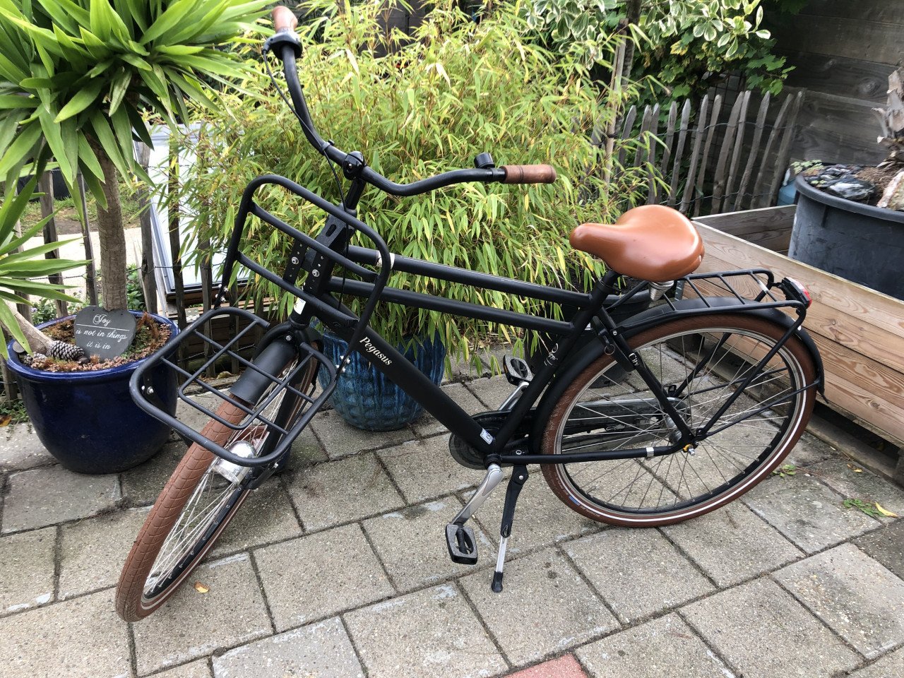 Pegasus City Bike