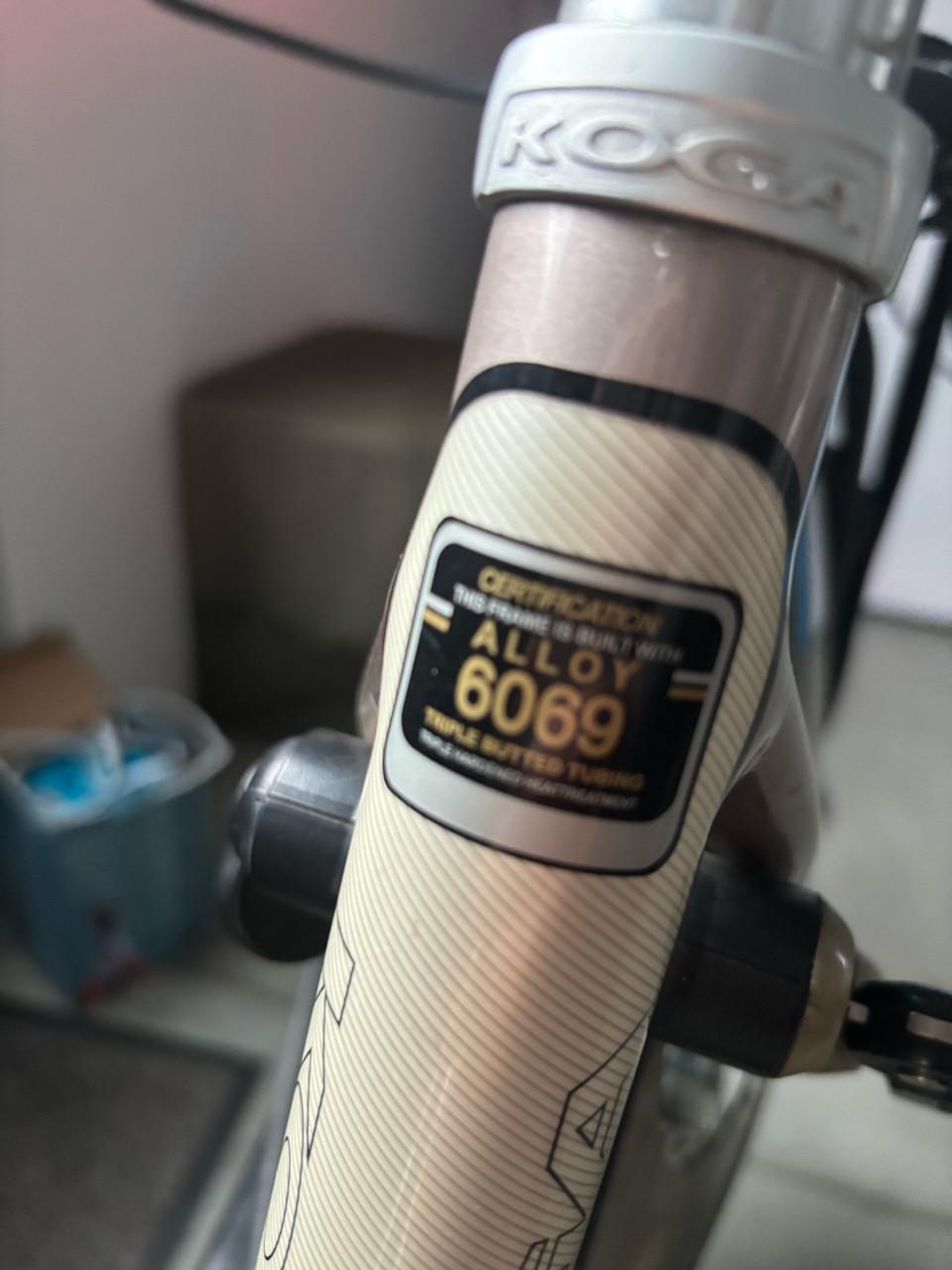 Koga elektrische damesfiets