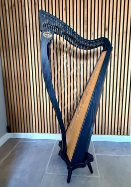 Harp Dusty Strings Ravenna 34