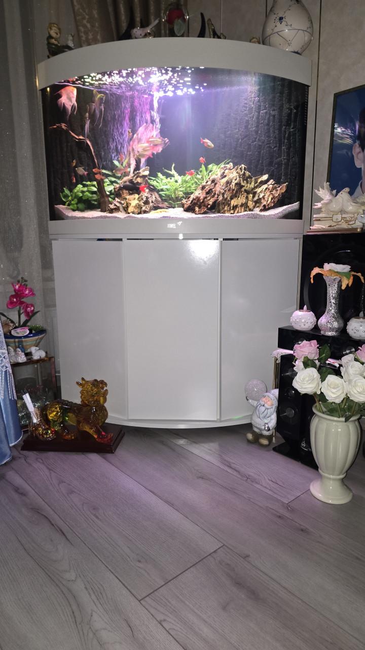 Te koop juwel trigon 190 dimensions nieuwste model