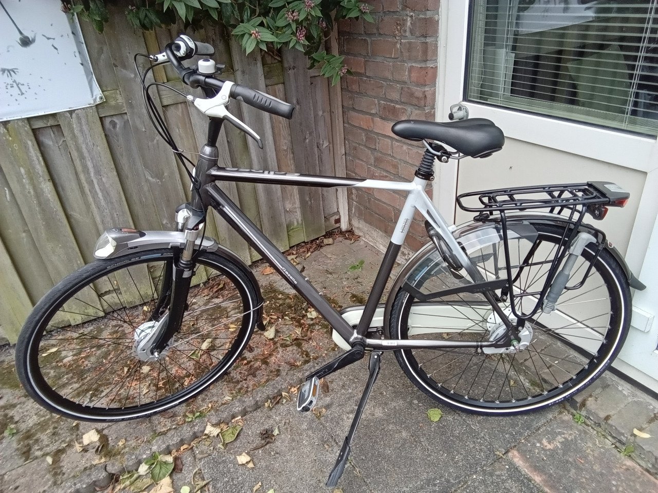 Gazelle Limited Edition