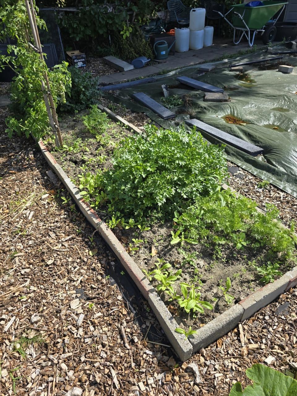 Diverse moestuin benodigheden