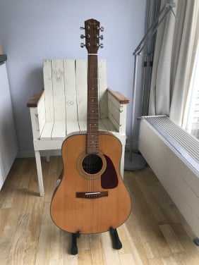 FENDER DG20S NAT gitaar