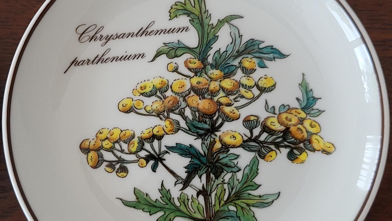 Set v 7 Villeroy & Boch Botanica petit four bordjes - NIEUW