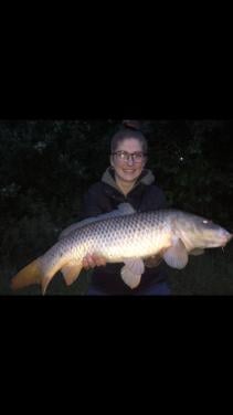 DE 3 HENGELVERGUNNING KOMT NIET IN DE VISPAS BIJ KARPERVISSERIJ KOUDEKERKE