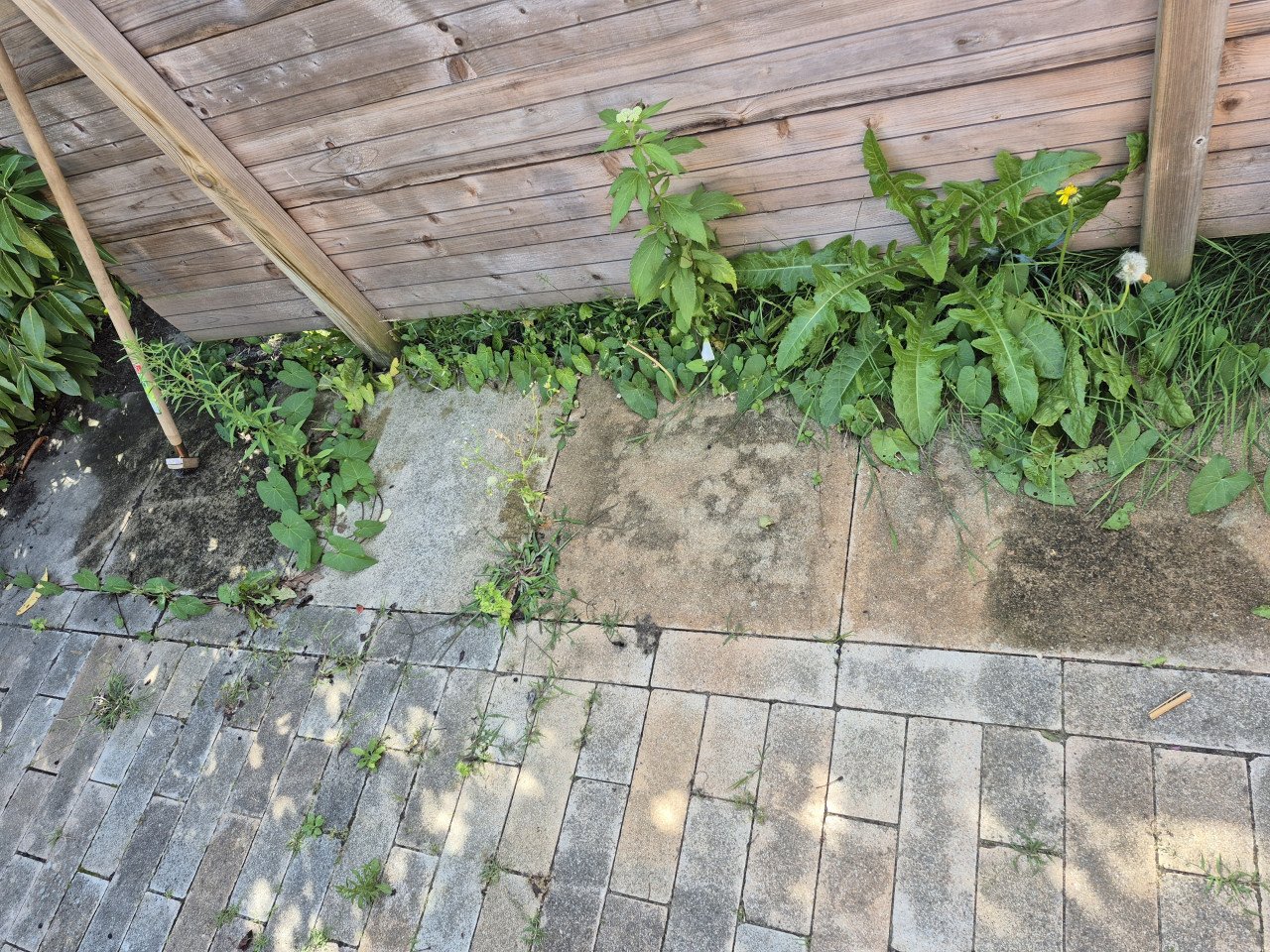 Tuinman nodig? Ik ben beschikbaar!!