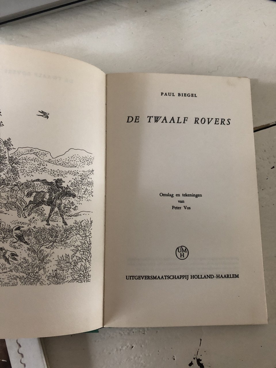 De twaalf rovers - Paul Biegel