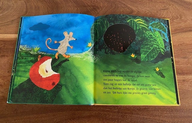 Kleine muis zoekt een huis | Petr Horacek