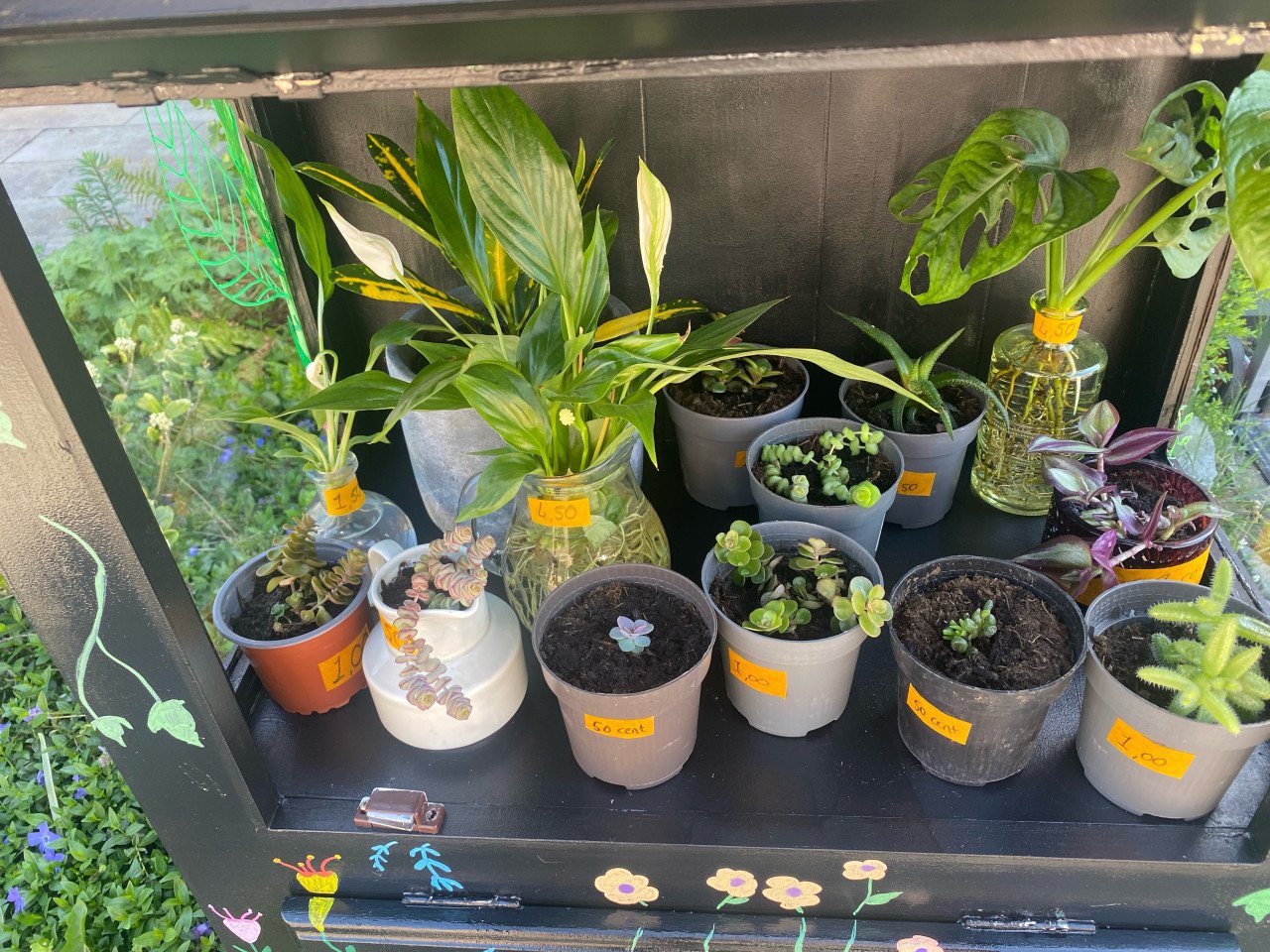 Planten en Stekjes