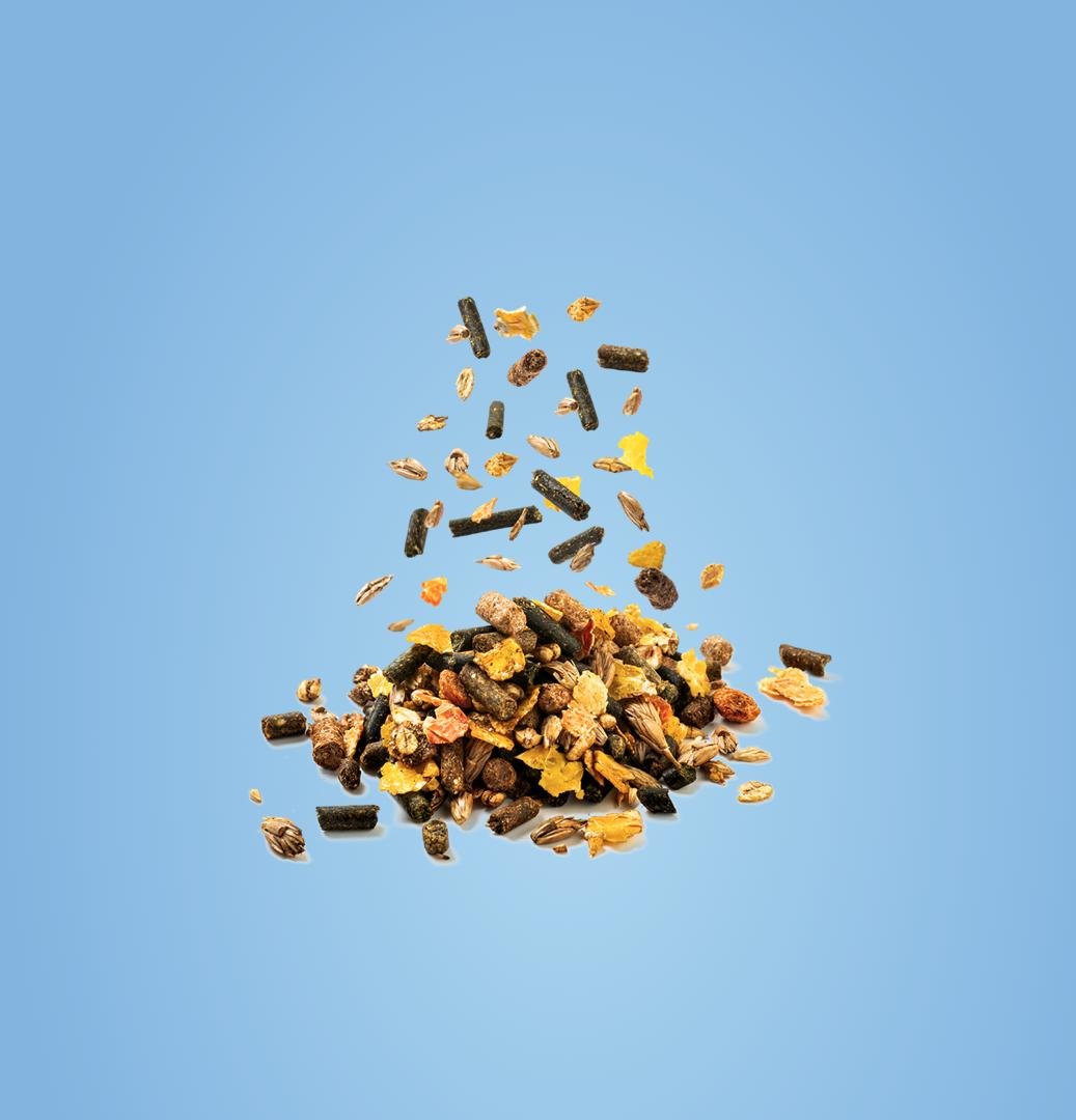 Active Fit Mix Exercise & Fitness