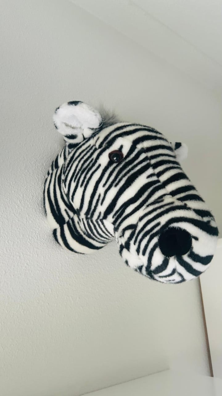 Dierenkoppen pluche
