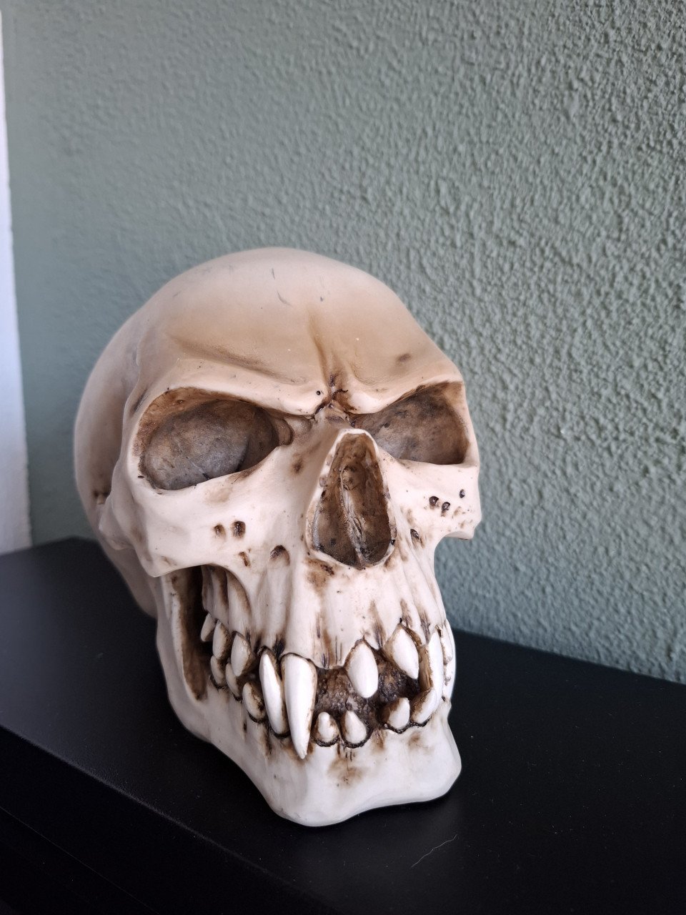 Skull