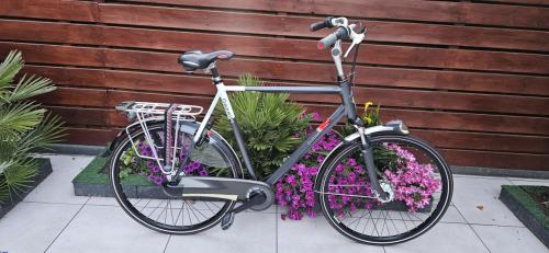Gazelle Eclipse Limited 65 cm Herenfiets