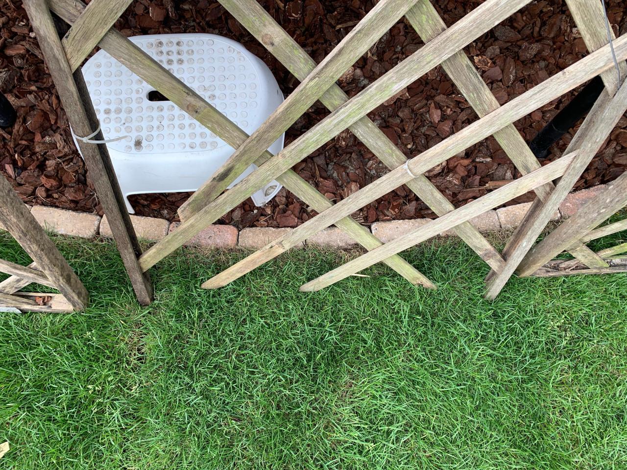 3x trellis tuinhout