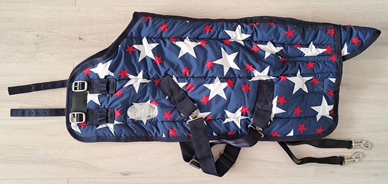 Nieuw Staldeken minipaardje