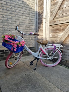 Meisjes transportfiets