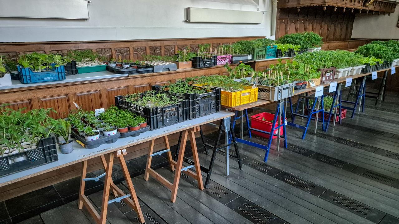 Plantjesmarkt - Boekenmarkt Petruskerk 's-Heer Arendskerke