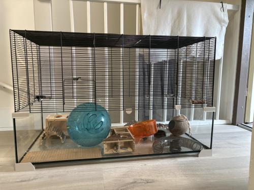 Ferplast Karat 100 knaagdierenkooi met toebehoren. Hamster