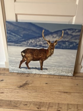 Canva schilderij