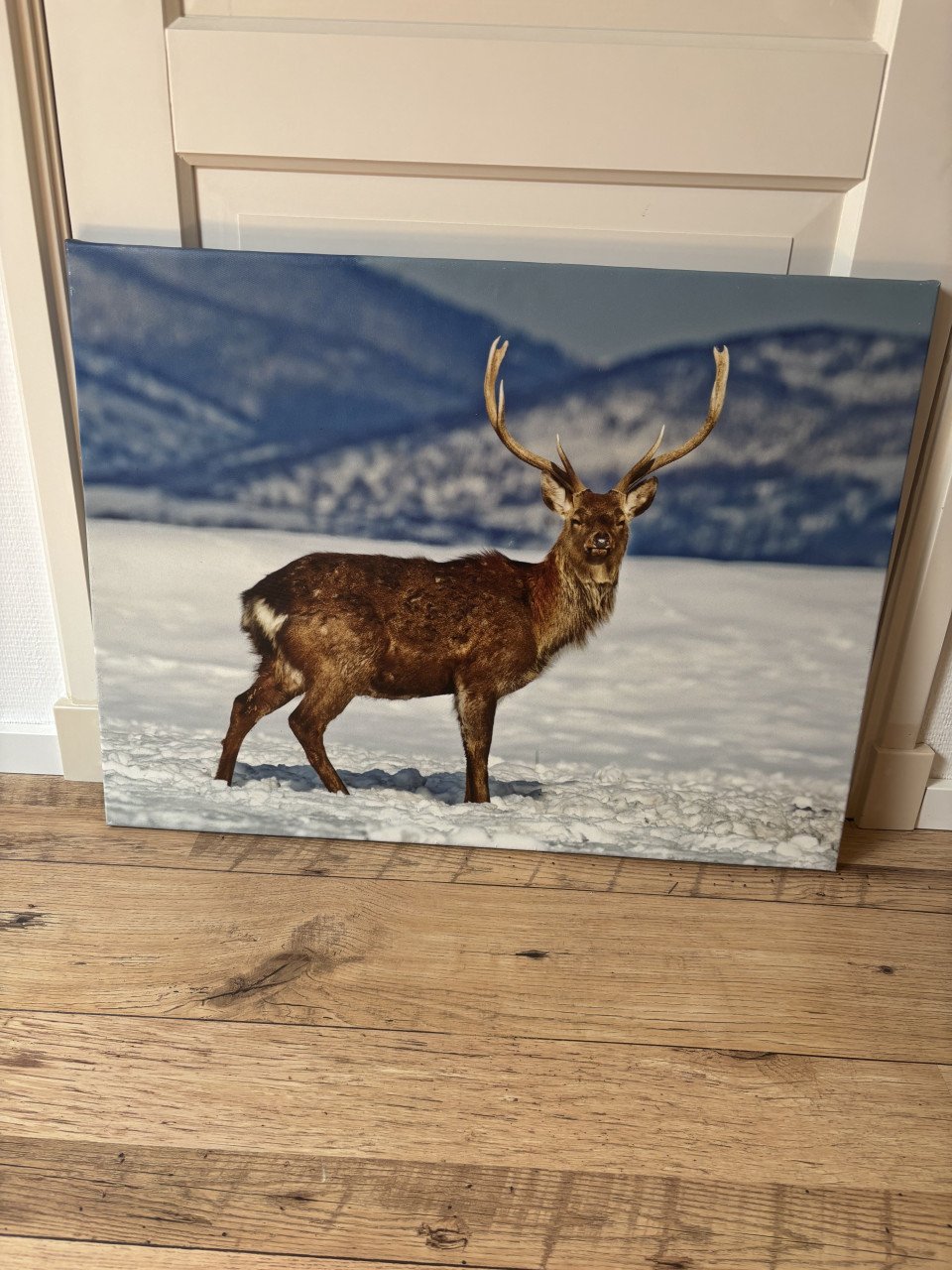 Canva schilderij