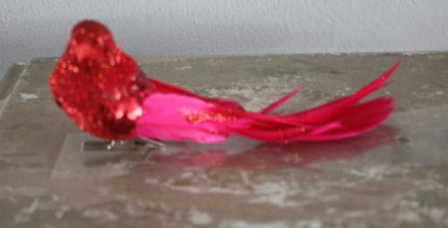 Rood vogeltje op knijper