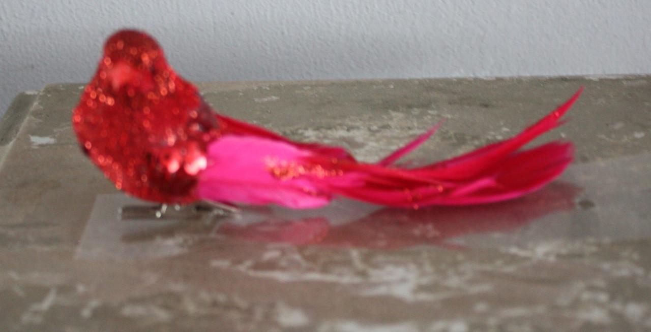 Rood vogeltje op knijper