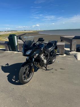Honda cbf600