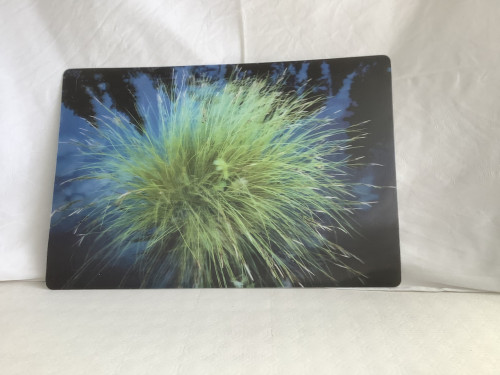 Placemat