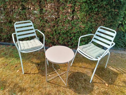 Set van 2 witte tuinstoelen