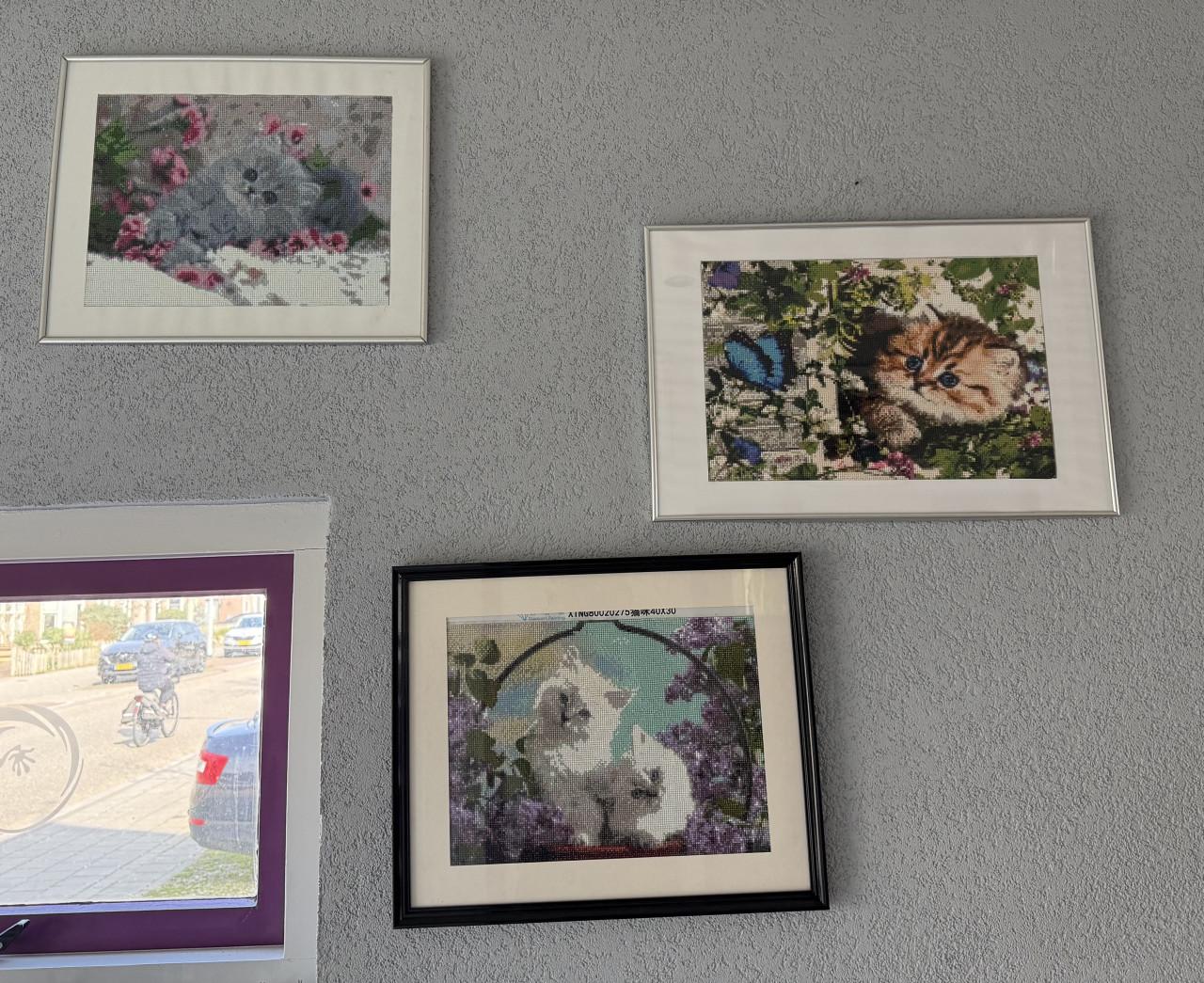 Borduur werkjes / daimantpainting ingelijst