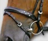 Kieffer neusriem bling