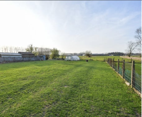 Wei / grasland te huur of te koop gevraagd