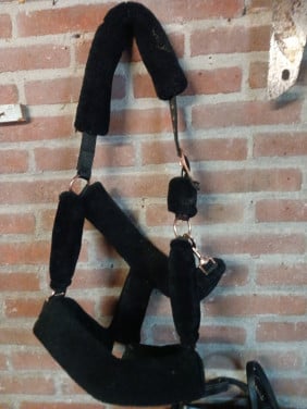 Halsters pony en full