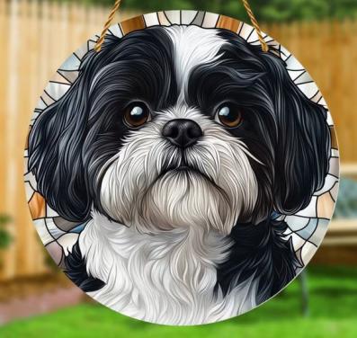 Raamhanger Shih tzu