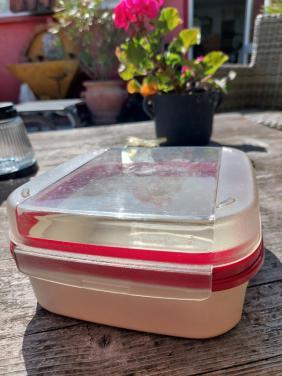 Tupperware koekjestrommel transparant /rood