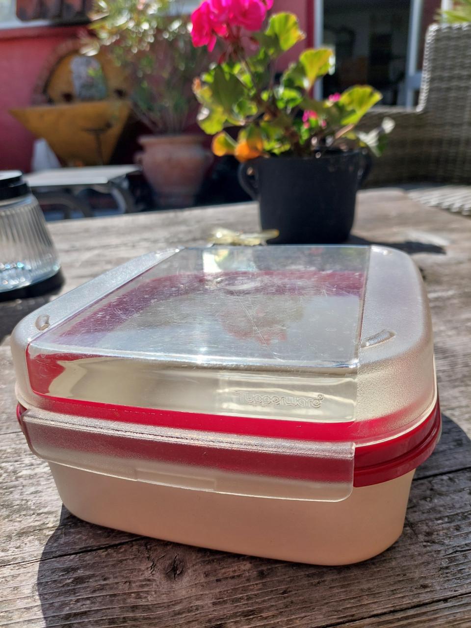 Tupperware koekjestrommel transparant /rood