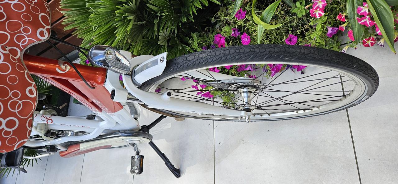 Sparta Amazone Dynamic Moederfiets