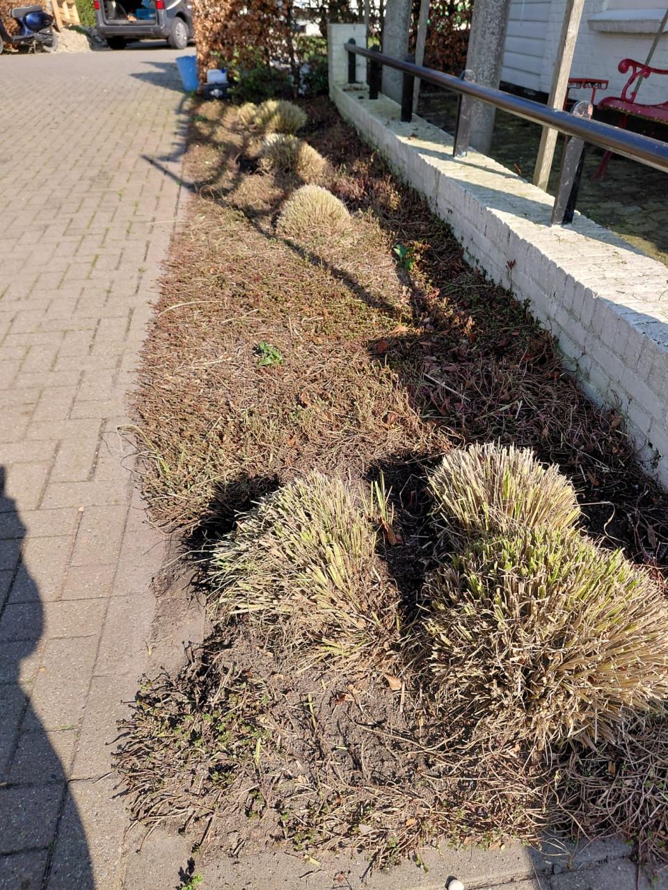Voorjaars opkuis tuin + lichte herstel werkzaamheden