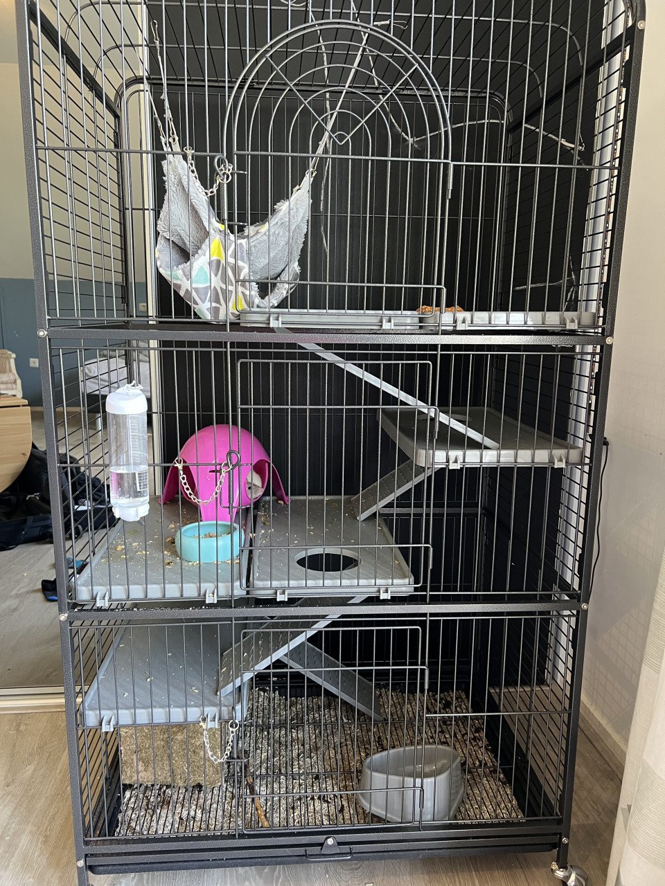 2 jonge tamme ratten incl kooi