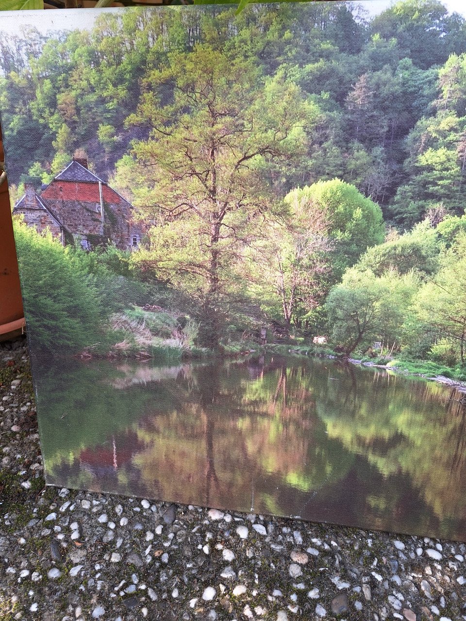 Decoratieve canvas