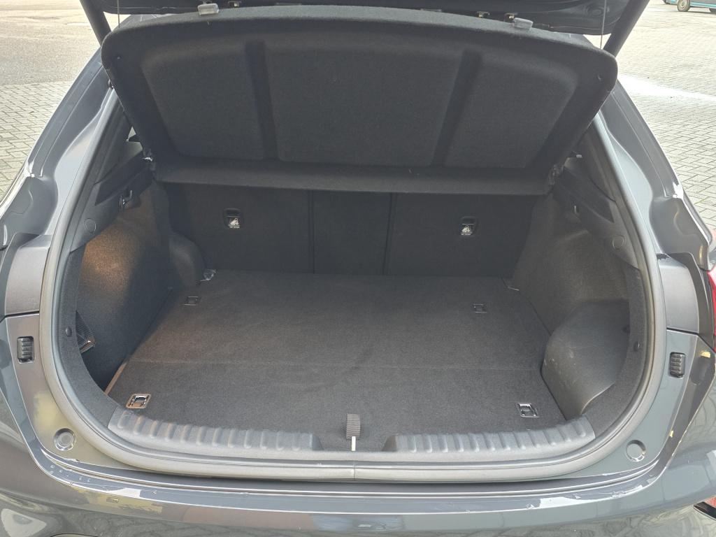 Kia Xceed 1.6 gdi phev executiveline | carplay | cruise control | climate c